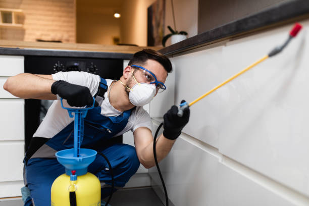 Best Local Pest Control Services  in Summit, IL