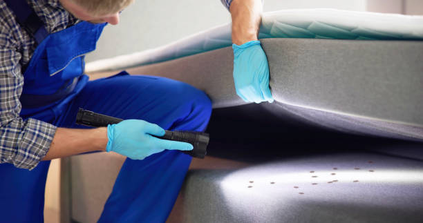 Best Flea Control Services  in Summit, IL