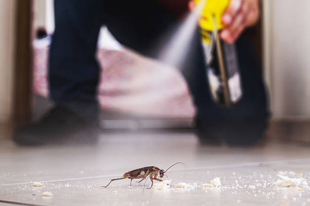 Best Exterminator Services  in Summit, IL