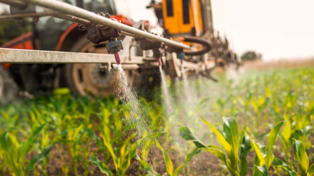Best Commercial Pest Control Services  in Summit, IL